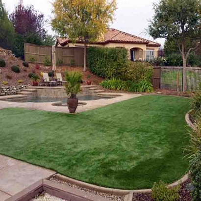 Artificial Grass Carpet Spreckels, California Lawn And Landscape, Backyard Makeover