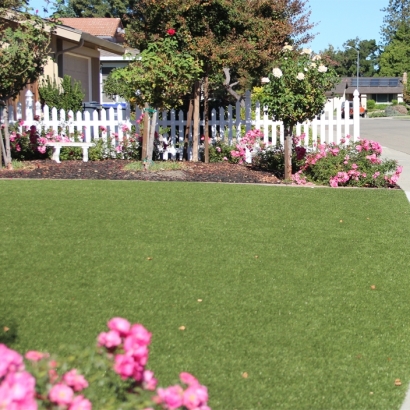 Artificial Grass Installation Coachella, California Backyard Playground, Front Yard Ideas