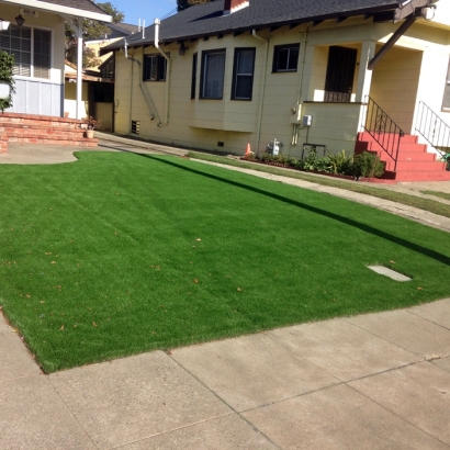 Artificial Grass San Ardo, California City Landscape, Front Yard Design