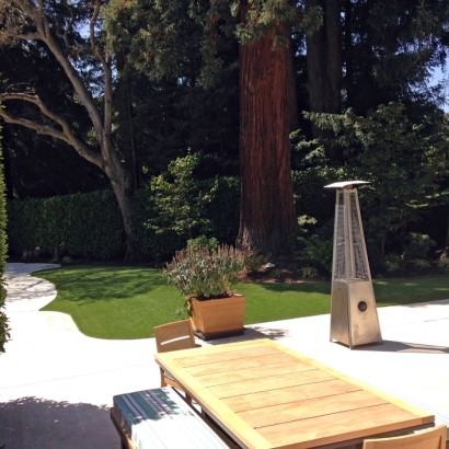 Artificial Lawn Casmalia, California Garden Ideas, Backyard Ideas