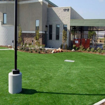 Artificial Lawn Eucalyptus Hills, California Rooftop, Commercial Landscape