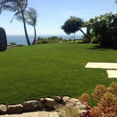 Artificial Lawn Joshua Tree, California City Landscape, Commercial Landscape