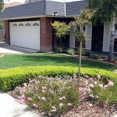 Artificial Lawn Lee Vining, California Design Ideas, Small Front Yard Landscaping