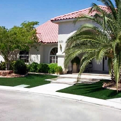 Artificial Turf Cost Gonzales, California Landscape Photos, Front Yard Design