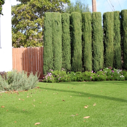 Artificial Turf Cost Le Grand, California Landscape Photos, Front Yard Landscape Ideas