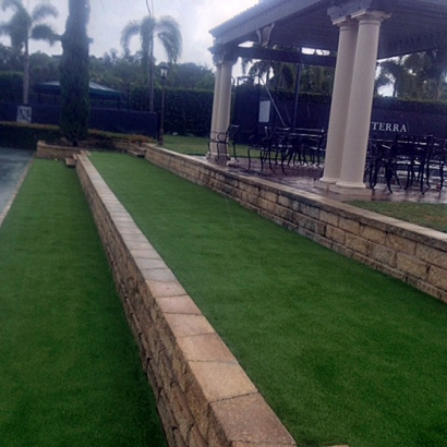 Artificial Turf Cutler, California Design Ideas, Commercial Landscape