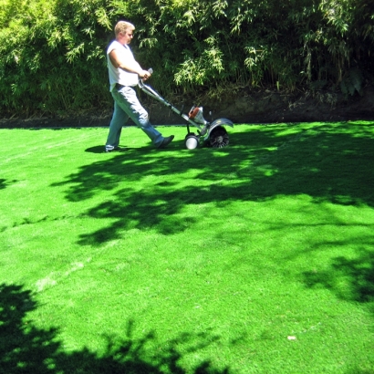 Artificial Turf Installation Camp Nelson, California Backyard Playground, Small Backyard Ideas