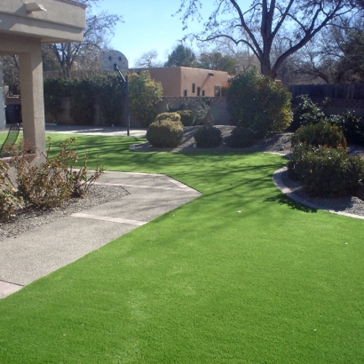 Artificial Turf Installation Del Aire, California Design Ideas, Front Yard Landscape Ideas