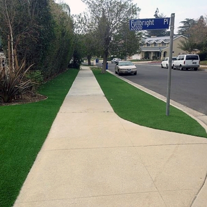 Artificial Turf Installation Inglewood, California Landscape Design, Front Yard Landscaping Ideas