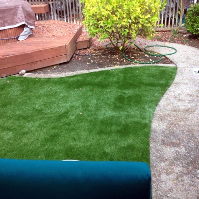 Artificial Turf San Lucas, California Roof Top, Backyard Landscaping