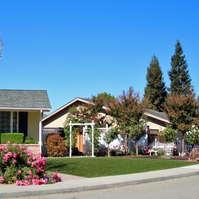 Artificial Turf Sisquoc, California Design Ideas, Small Front Yard Landscaping