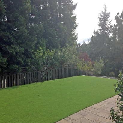 Best Artificial Grass Alpine, California Lawns, Backyard Landscape Ideas