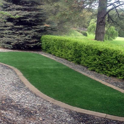 Best Artificial Grass Yettem, California Lawn And Garden