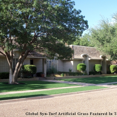 Fake Grass Alhambra, California Roof Top, Landscaping Ideas For Front Yard