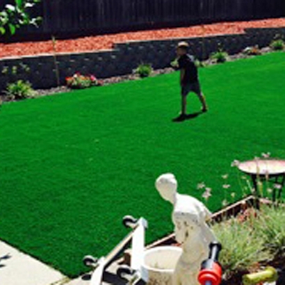 Fake Grass Carpet Encinitas, California Landscape Ideas, Backyard