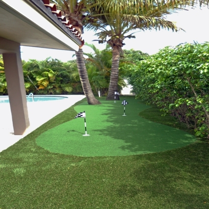 Fake Grass Carpet Moreno Valley, California Lawn And Garden, Backyard Makeover