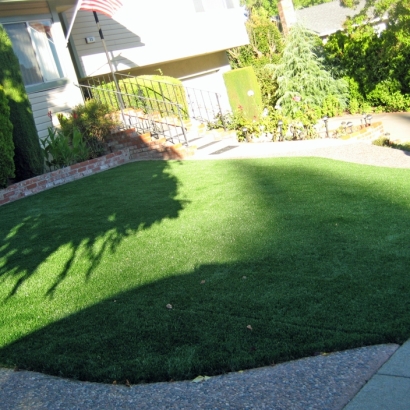 Fake Grass Carpet Porterville, California Lawn And Landscape, Front Yard Landscaping Ideas