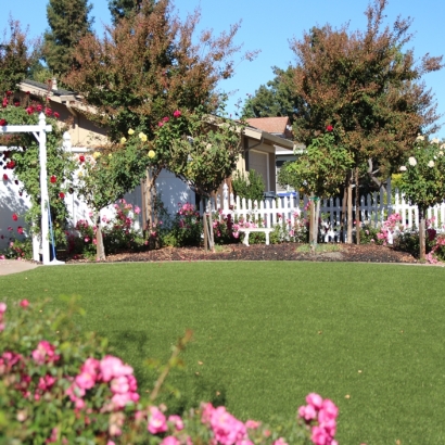 Fake Grass Carpet Tulare, California City Landscape, Front Yard Landscaping Ideas