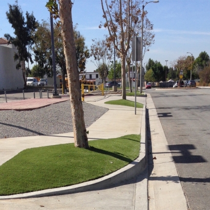 Fake Grass Furnace Creek, California Landscaping Business, Commercial Landscape