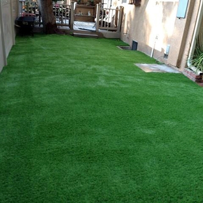 Fake Grass Lockwood, California Landscaping Business, Backyard