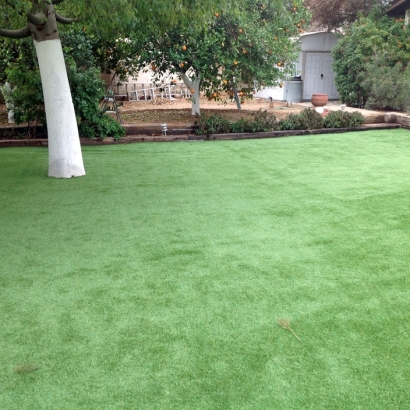 Fake Grass Squirrel Mountain Valley, California Lawns, Backyard Designs