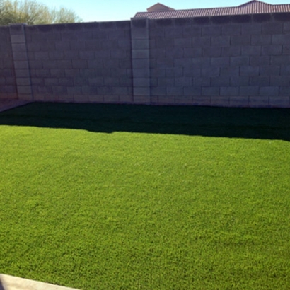 Fake Lawn Dos Palos Y, California Landscape Rock, Backyard Landscaping Ideas