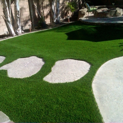 Fake Lawn Parkwood, California City Landscape, Backyard Garden Ideas