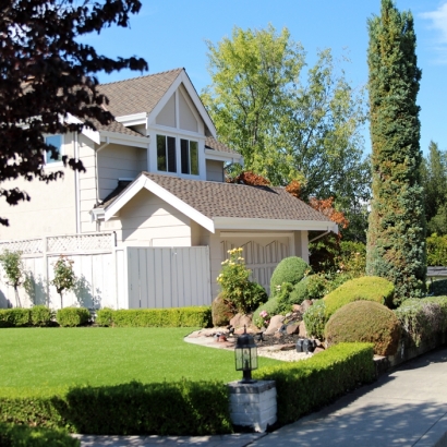 Fake Turf Casa de Oro-Mount Helix, California Garden Ideas, Landscaping Ideas For Front Yard