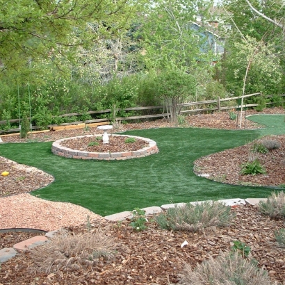 Fake Turf Gustine, California Landscaping Business, Backyards