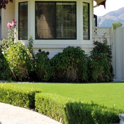 Fake Turf Ponderosa, California Lawn And Garden, Front Yard Design