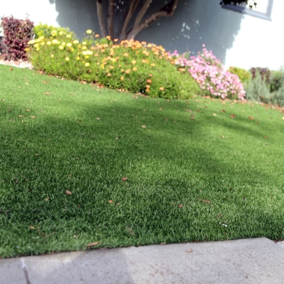 Fake Turf Three Rocks, California Gardeners, Front Yard Ideas