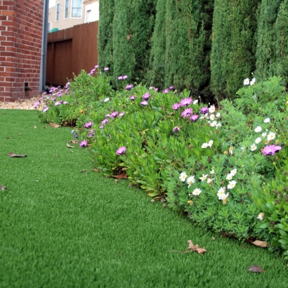 Faux Grass June Lake, California Landscape Ideas, Front Yard Landscape Ideas