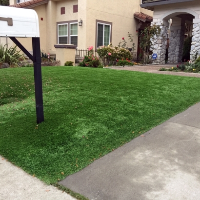 Faux Grass King City, California Roof Top, Front Yard Design