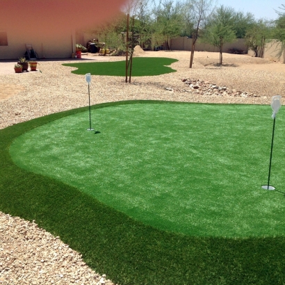 Grass Carpet Imperial Beach, California Putting Green Turf, Backyards