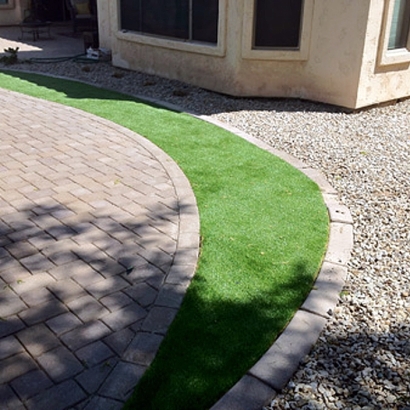 Grass Carpet Moss Landing, California Design Ideas, Front Yard