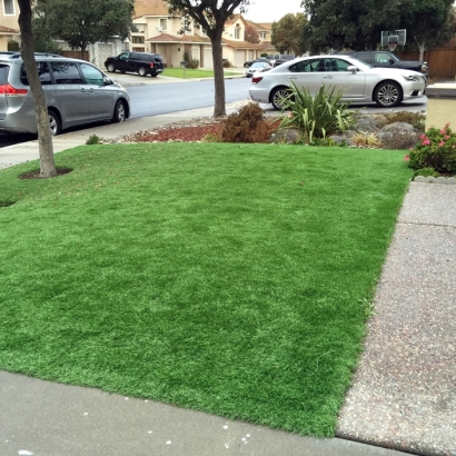 Grass Carpet Yosemite Lakes, California Home And Garden, Landscaping Ideas For Front Yard