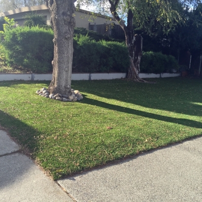 Grass Installation Pajaro, California Garden Ideas, Front Yard Landscaping