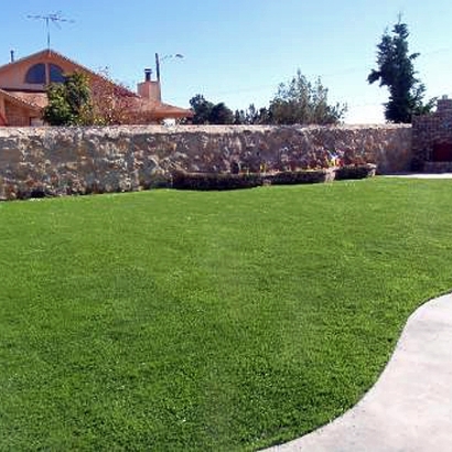 Grass Installation Parksdale, California Backyard Playground, Small Backyard Ideas