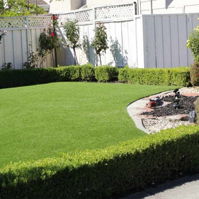 Grass Turf Borrego Springs, California Rooftop, Backyard Landscape Ideas