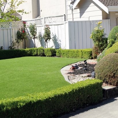 Installing Artificial Grass Centerville, California Lawn And Garden, Front Yard Ideas