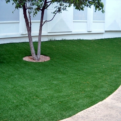 Lawn Services Cartago, California Lawns, Commercial Landscape