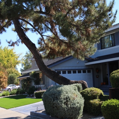 Lawn Services Sand City, California Landscape Design, Front Yard Landscape Ideas