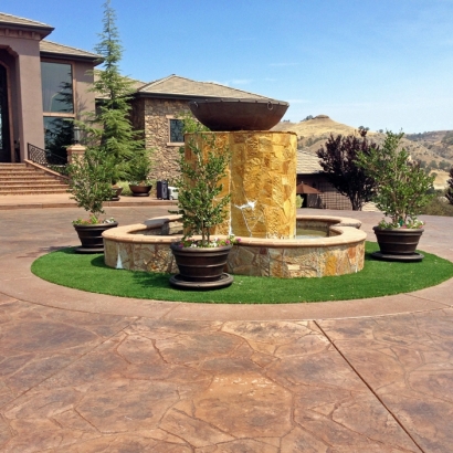 Outdoor Carpet Pine Valley, California City Landscape, Front Yard Landscape Ideas