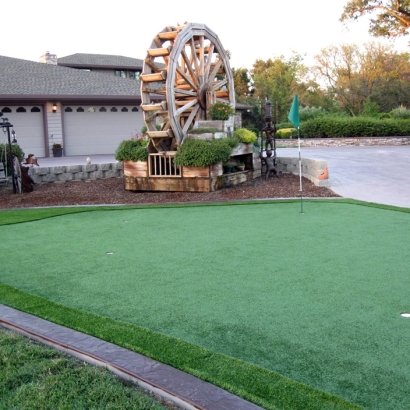 Plastic Grass Escondido, California Putting Green Grass, Front Yard Landscaping Ideas