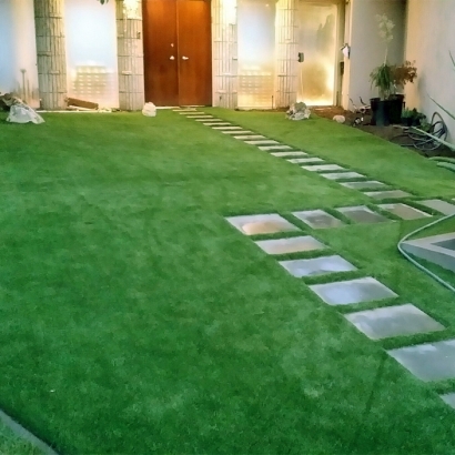 Plastic Grass Winter Gardens, California Design Ideas, Front Yard Design