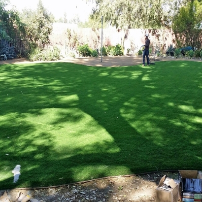 Synthetic Grass Cost Ridgecrest, California Design Ideas, Backyard Design