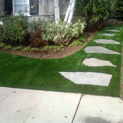 Synthetic Grass Keeler, California Landscape Photos, Front Yard Ideas