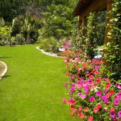 Synthetic Lawn Lake Isabella, California Landscape Photos, Backyard Designs