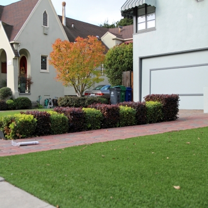 Synthetic Lawn Ripley, California Landscaping Business, Front Yard Design