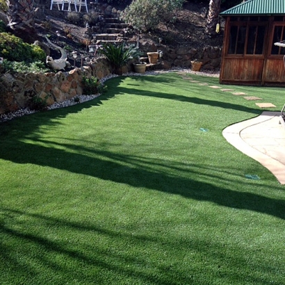 Synthetic Lawn Watsonville, California City Landscape, Backyards